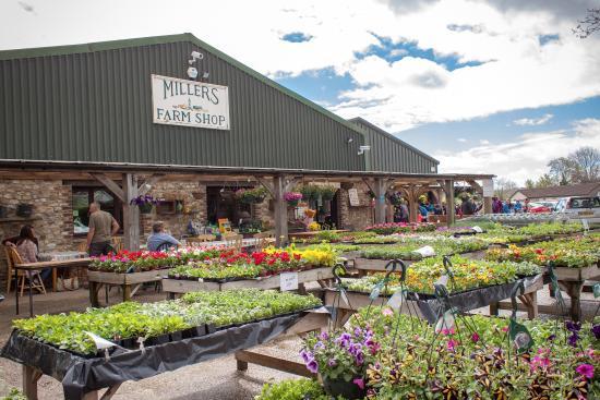 Millers Farm Shop
