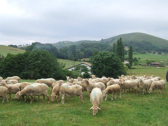 Ferme d'Agerria