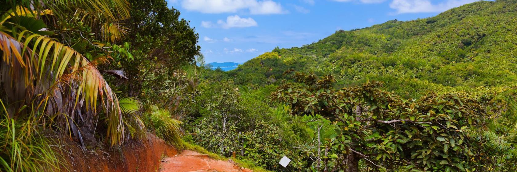 Reserva Natural del Valle de Mai