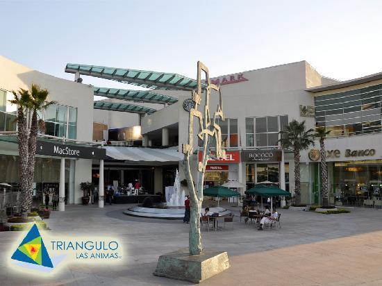 el Triangulo Las Animas