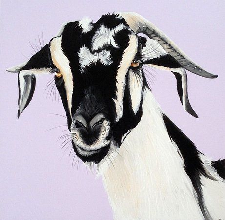 Galería de Arte Cabra Cabra