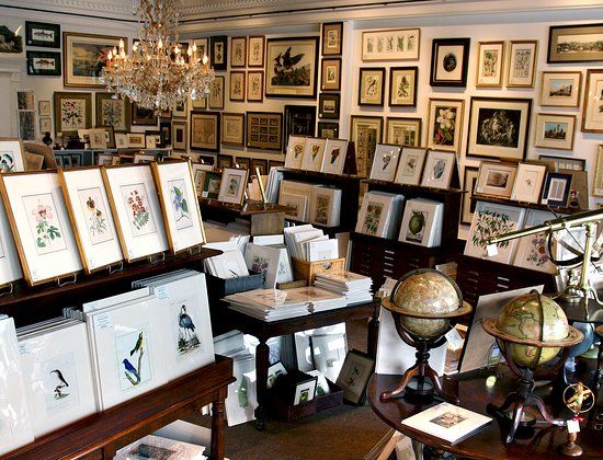 Antiquarium Antique Print Gallery