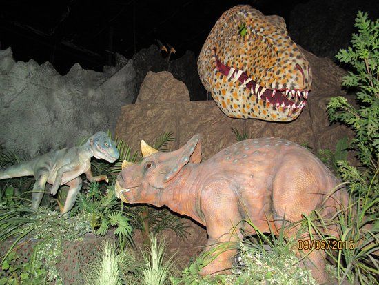 Jurassic Jungle Boat Ride