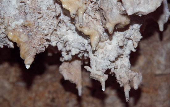 Cayman Brac Caves