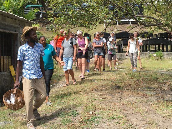 Firefly Plantation Bequia