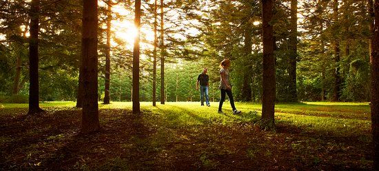 Hundred Acres Reserve