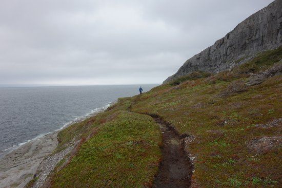 Burnt Cape Ecological Reserve