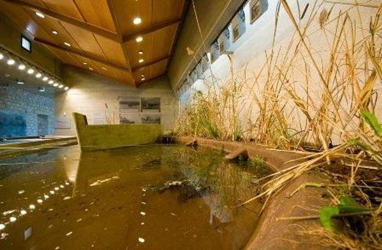 The Environment Museum of Stymphalia