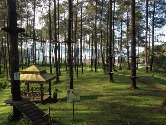 Bandung Treetop Adventure Park
