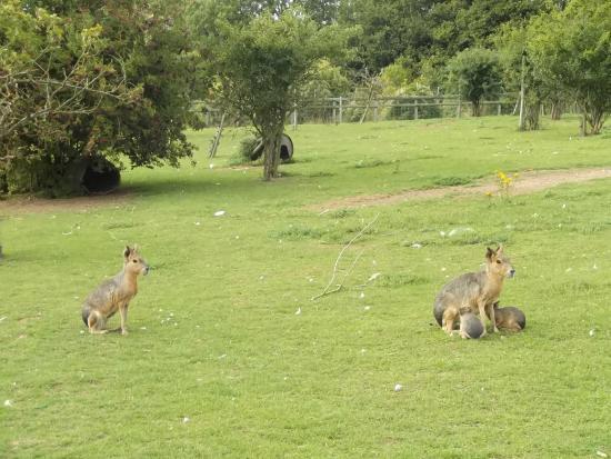 Badgers Hill Farm & Cidery