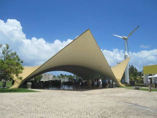 Bacardí Distillery Tour