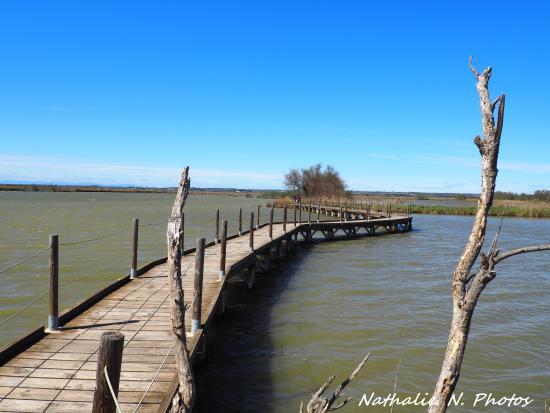 Centre de Découverte du Scamandre