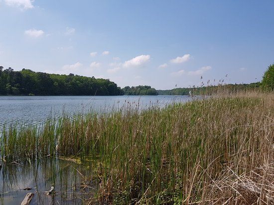 Wielkopolski Park Narodowy
