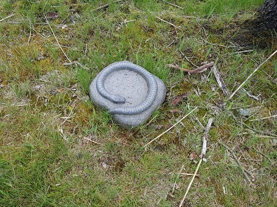 Baldersbæk plantage