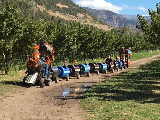 Orchard Valley Farms & Market