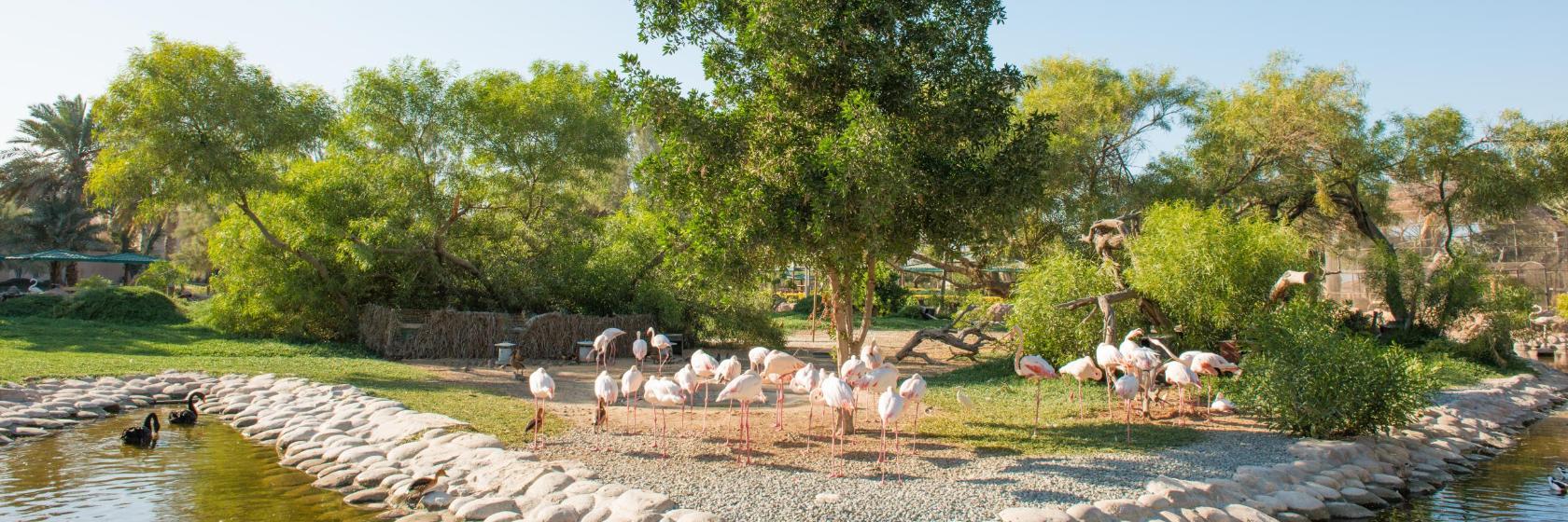 Wildpark Al Areen