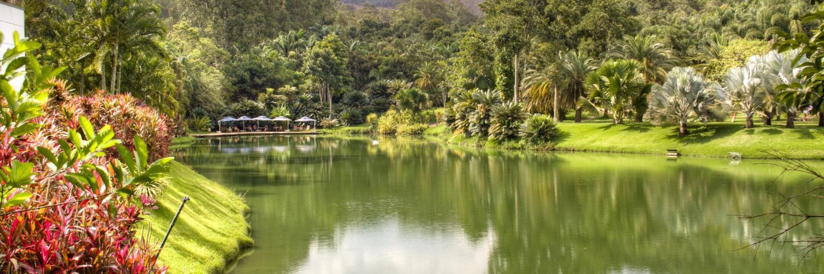 Musée et jardin botanique Inhotim
