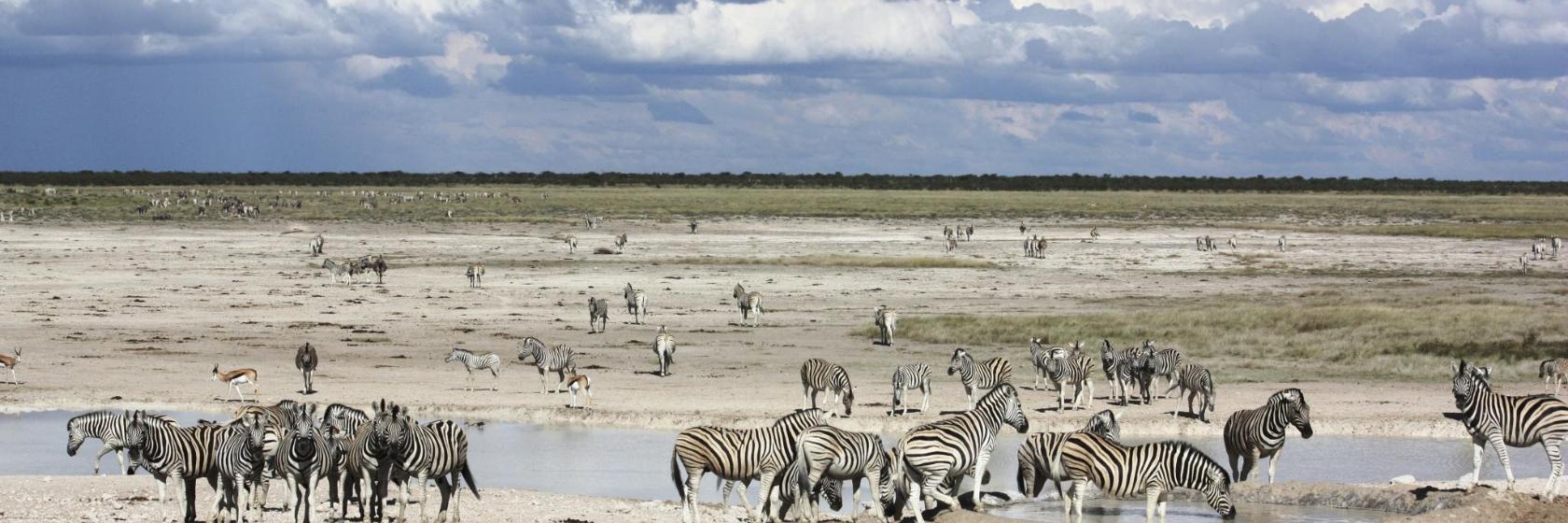 Etosha National Park Anderson Gate