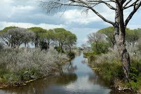Parco Regionale della Maremma