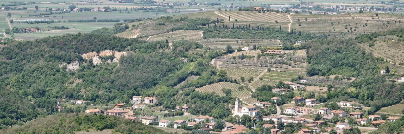 Parco Regionale dei Colli Euganei