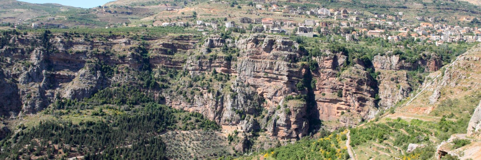 Vallée de la Qadisha et forêt des Cèdres