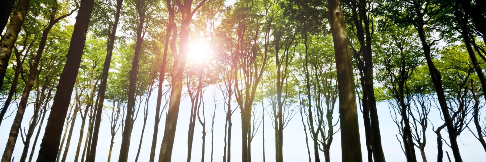 Parc Kurpark Warnemunde