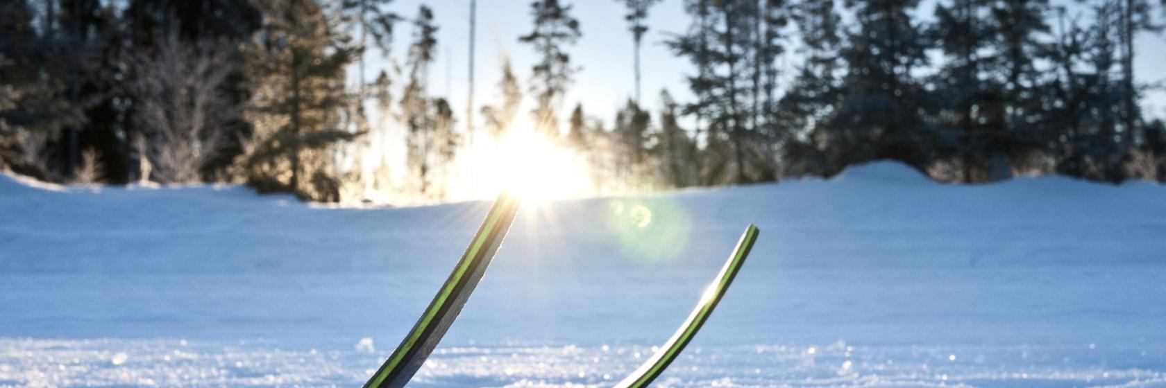 Vasaloppet Finishing Line