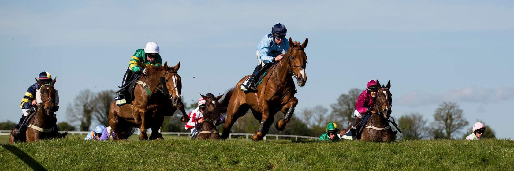 Punchestown Racecourse