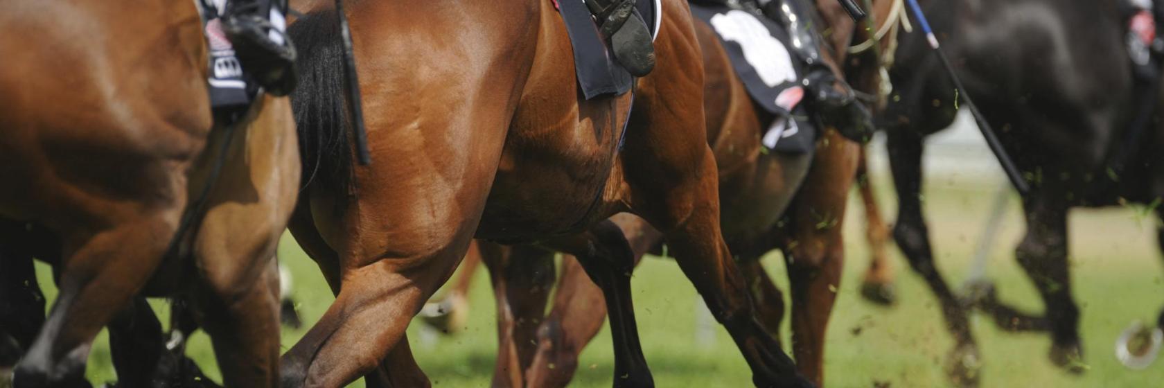 Isle of Capri Casino and Race Track