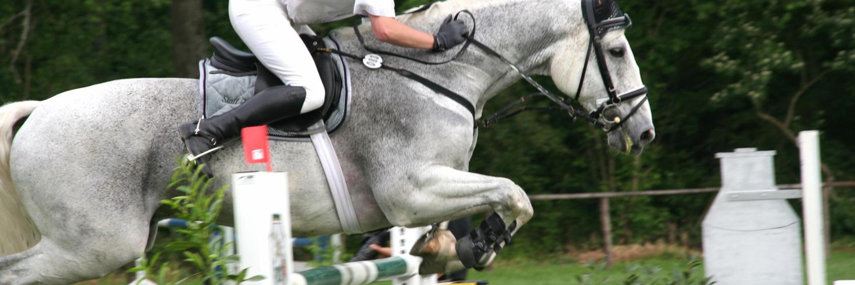 Aachener Soers Equitation Stadium