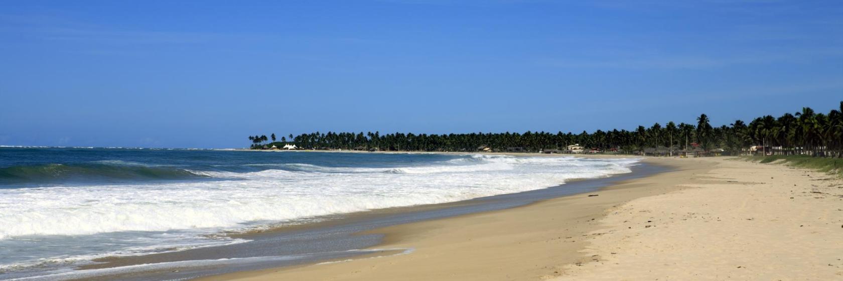 Maracaipe's Beach
