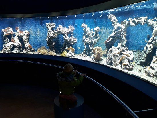 Aquazoo Löbbecke Museum Düsseldorf