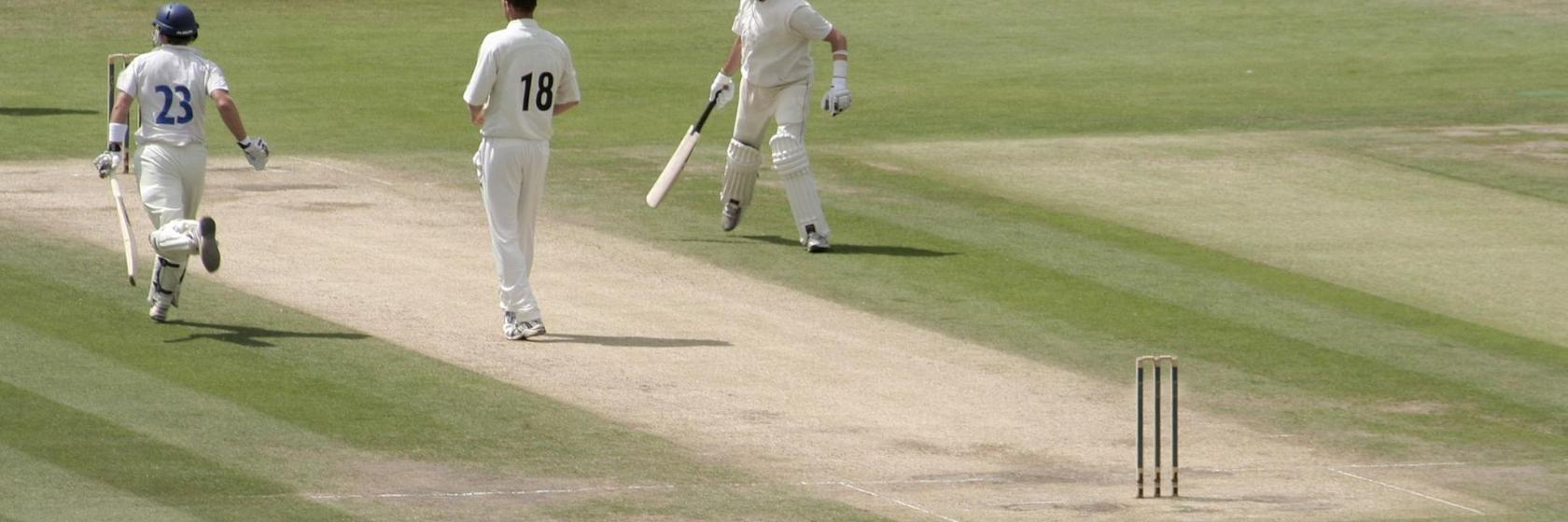 Sussex County Cricket Ground