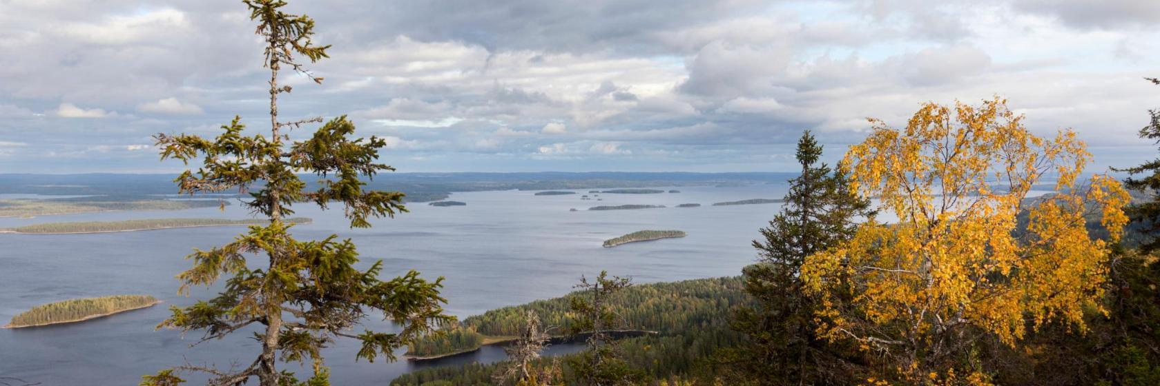 Koli National Park