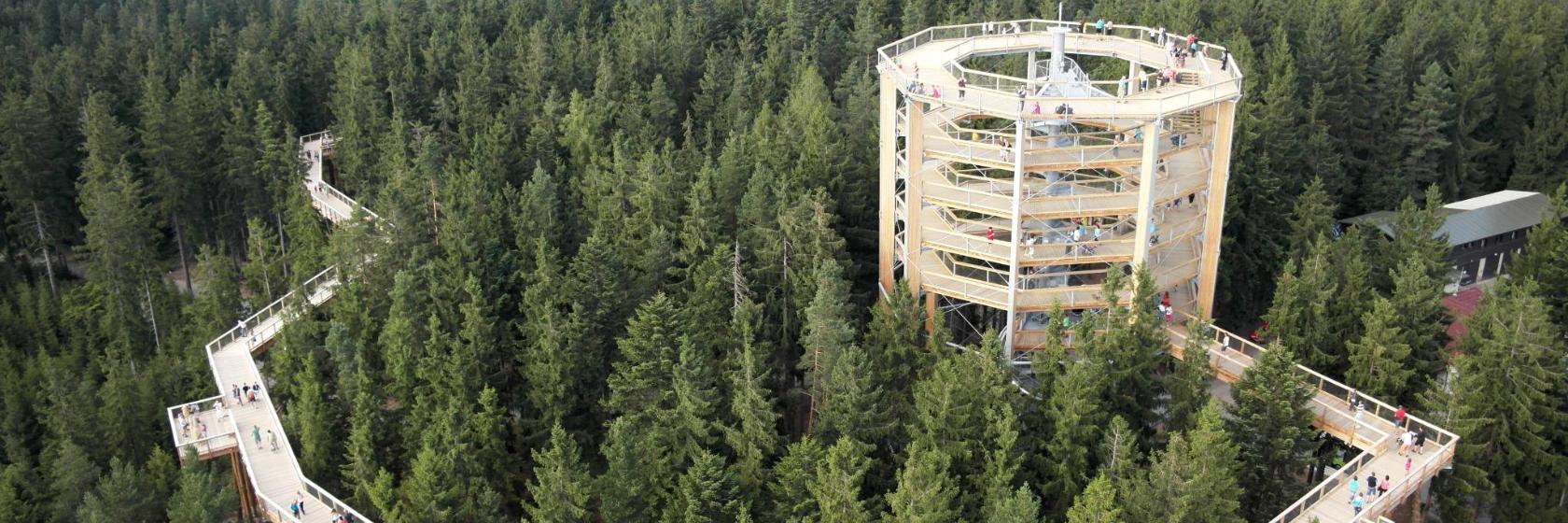 Lipno Boomtoppenwandelroute