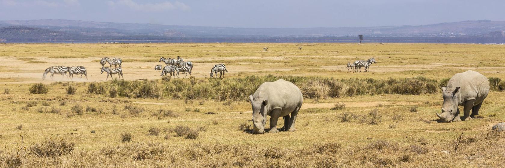 Nationalpark Lake Nakuru