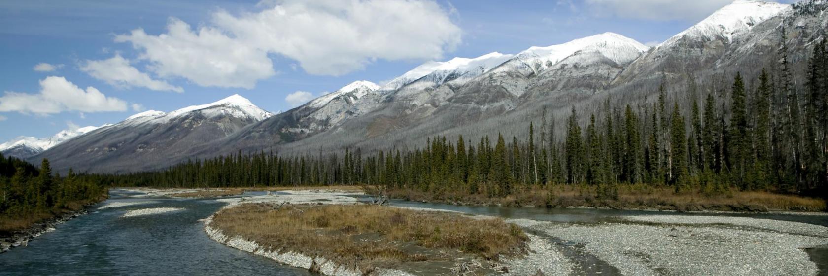 Old Course Golf Club