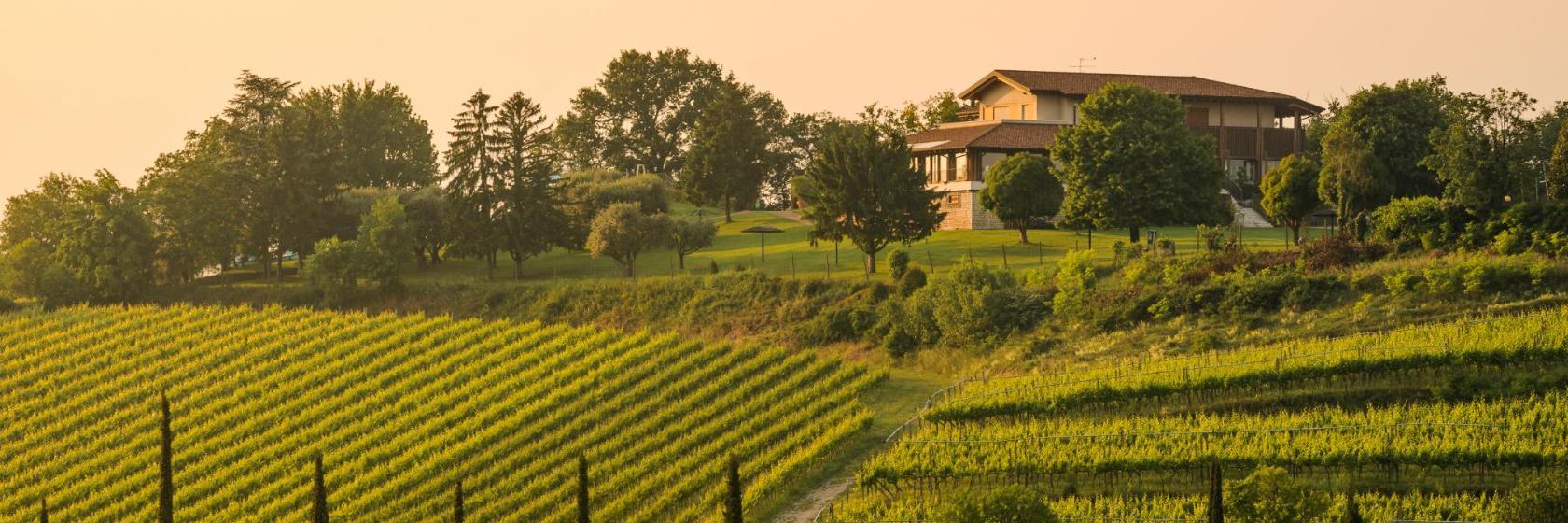 Parco Acquatico Pico Verde