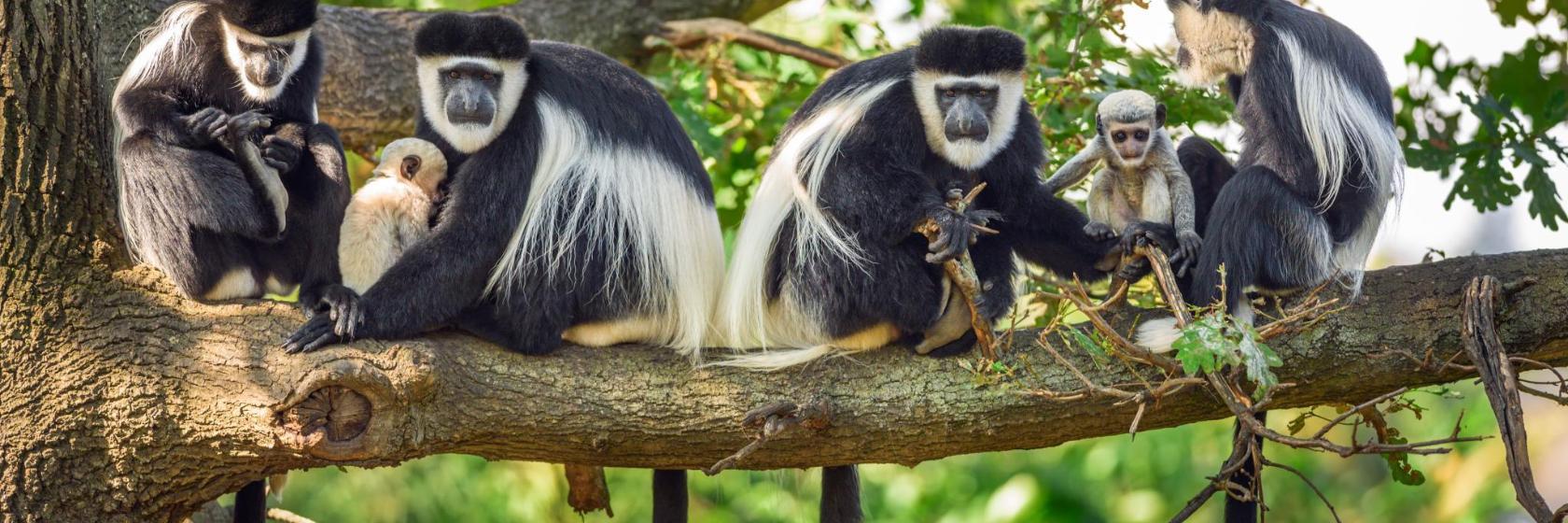 Agmatsa Wildlife Sanctuary