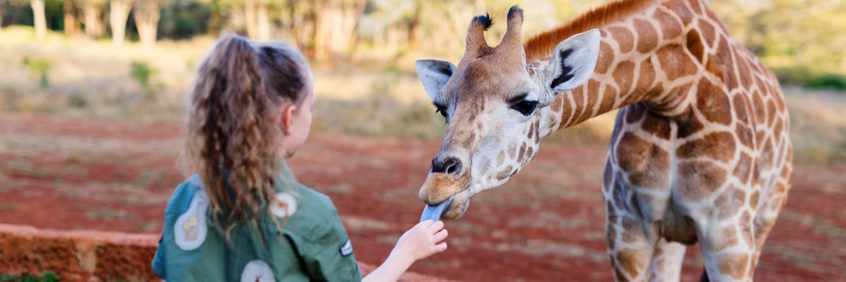 Sondela Nature Reserve & Spa Bela Bela