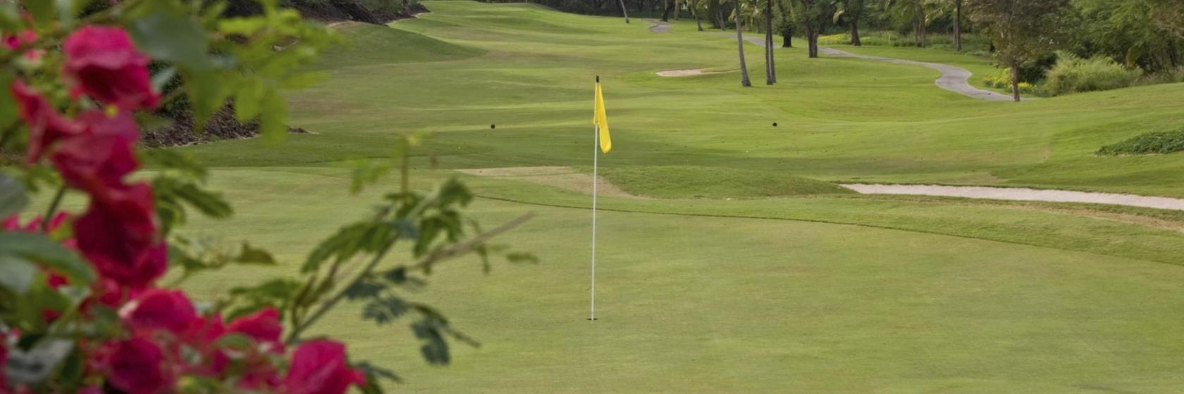 Golf de la Freslonnière