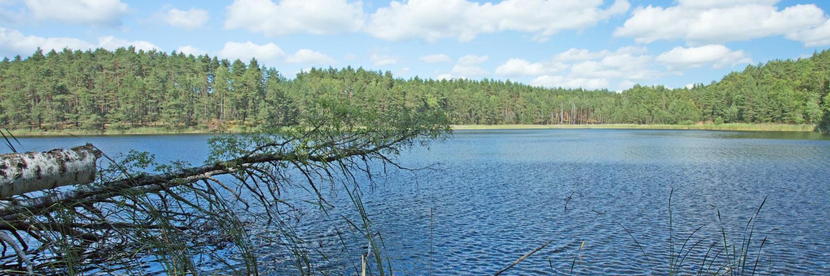 Park Narodowy Bory Tucholskie