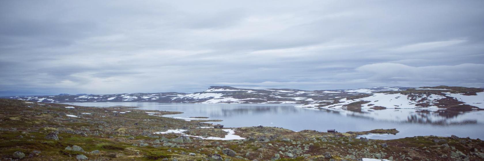 Hardangervidda