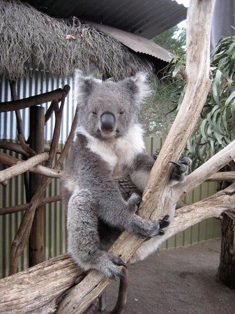 Paul's Place Wildlife Sanctuary