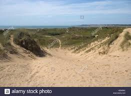 Merthyr Mawr Sand Dunes