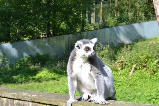 Galloway Wildlife Conservation Park