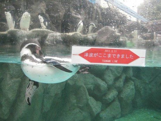 Marinepia Matsushima Aquarium