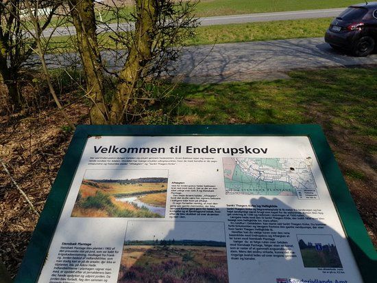 Aftægten Enderupskov