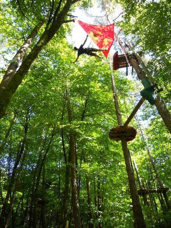 Camors Adventure Forest