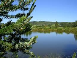 Arboretum de Chamberet